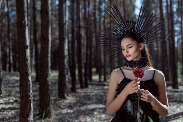 selective focus of adult woman in witch costume standing on forest background, holding red rose - Foto, Imagen