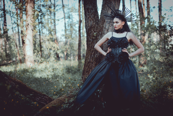 mulher elegante em traje de bruxa em pé no fundo da floresta com as mãos nos quadris, olhando para longe
 - Foto, Imagem