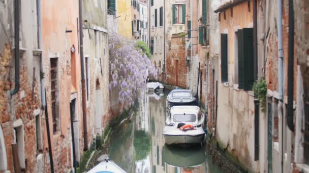 A water channel on the Venice streets. A boat and lilac - Footage, Video