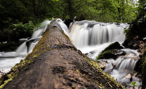 Fluxo de montanha, rio profundo na floresta de montanha, cascata de Mountain Creek com musgo verde fresco nas pedras
 - Foto, Imagem