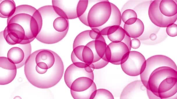4k Блістер бульбашковий фон, частинки кільця м'яча, бактерії мікроводоростей крапки яєць
 - Кадри, відео