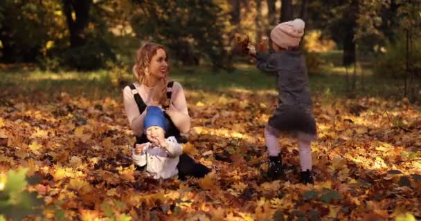 Prachtige jonge moeder met twee kinderen genieten van zonnige herfst dag op het loof. - Video