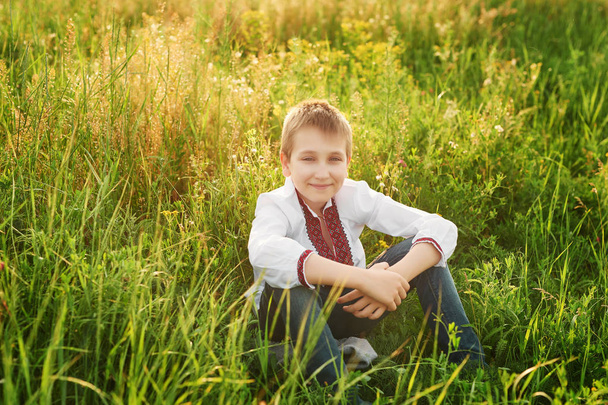 Ουκρανικό παιδί στο κέντημα στο χωράφι - Φωτογραφία, εικόνα