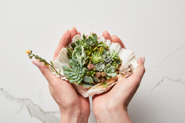 cropped view of woman holding green succulent in seashell on textured marble background - Foto, Bild