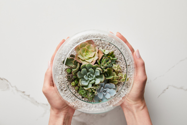 cropped view of woman holding succulent in glass flowerpot on textured marble background - Photo, Image