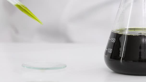 Κοντινό πλάνο επιστημόνων με γυαλιά που δοκιμάζουν το έλαιο CBD που εξάγεται από ένα φυτό μαριχουάνας σε ένα γυαλί ρολογιού. Χρησιμοποιεί ένα ακριβές σταγονόμετρο και ένα γυάλινο ρολόι για το πείραμα. Έννοια φαρμακείο υγείας - Πλάνα, βίντεο