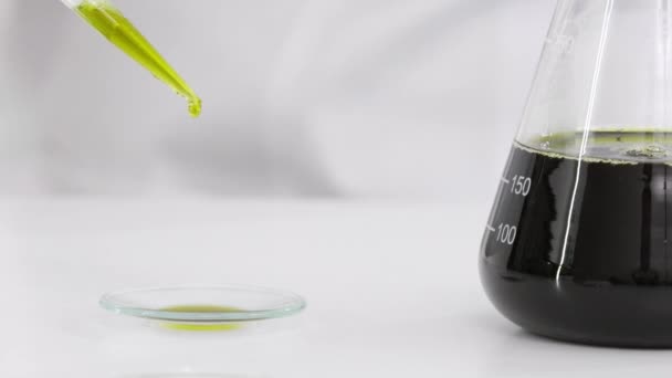 Gros plan d'un scientifique avec des lunettes testant l'huile de cbd extraite d'une plante de marijuana sur un verre de montre. Elle utilise un compte-gouttes précis et un verre de montre pour l'expérience. Concept de pharmacie de soins de santé
 - Séquence, vidéo