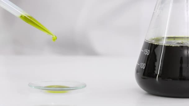 Primer plano del científico con unas gafas de prueba de aceite de cbd extraído de una planta de marihuana en un vaso de reloj. Ella está usando un cuentagotas preciso y un vaso de reloj para el experimento. Concepto de farmacia sanitaria
 - Imágenes, Vídeo
