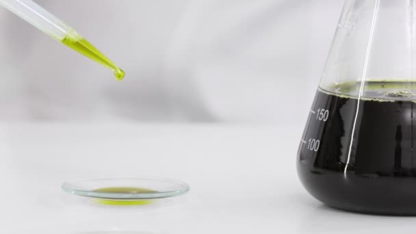 Closeup vědce s brýlemi, které testují olej s CBD extrahovaný z továrny marihuany na hodinkovým skle. Používá přesné kapátko a kukátko pro experiment. Koncepce zdravotní lékárny - Záběry, video