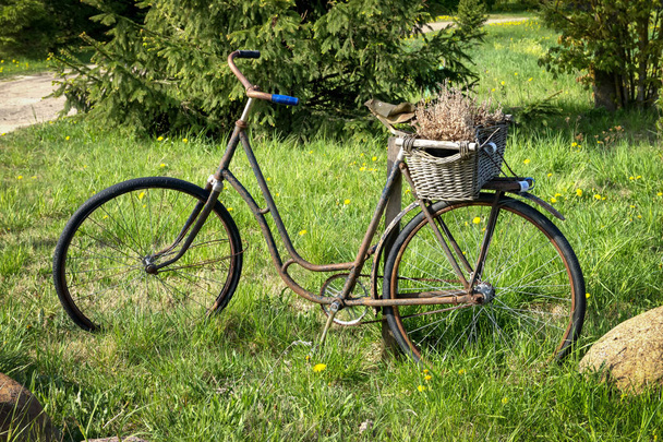 Vieux vélo rouillé dans un pré de campagne
 - Photo, image