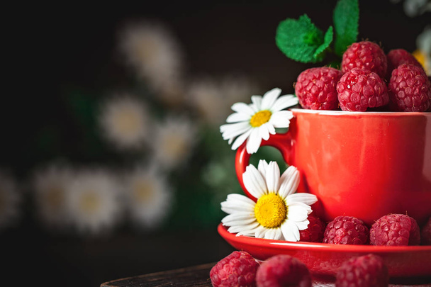 Raspberry in a red cup with chamomile and leaves on a dark background. Summer and healthy food concept. Background with copy space. Selective focus. - Фото, зображення