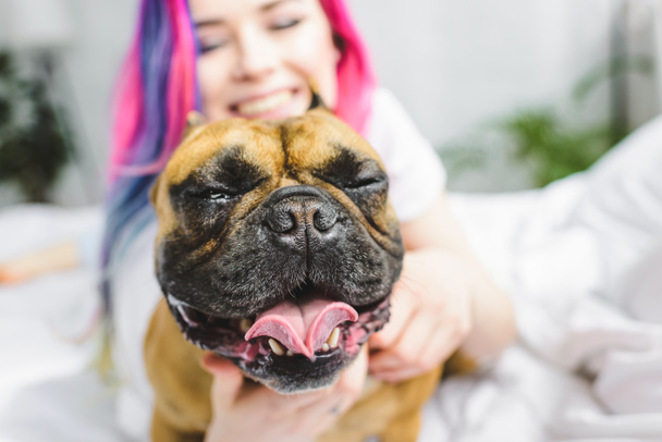selective focus of cute Frenchie with closed eyes and smiling girl  - Photo, Image