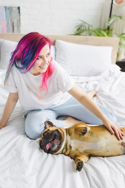 high angle view of girl with colorful hair petting cute french bulldog and looking away while sitting in bed - Foto, immagini
