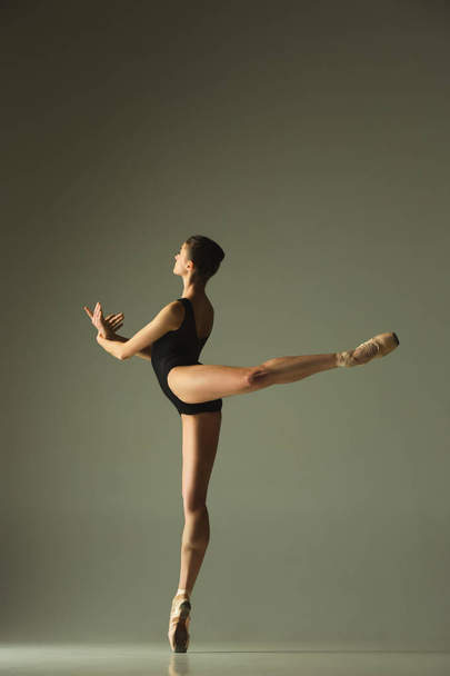 Young graceful female ballet dancer dancing in mixed light - Valokuva, kuva