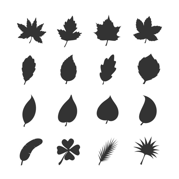 conjunto de ícone de folha
 - Vetor, Imagem