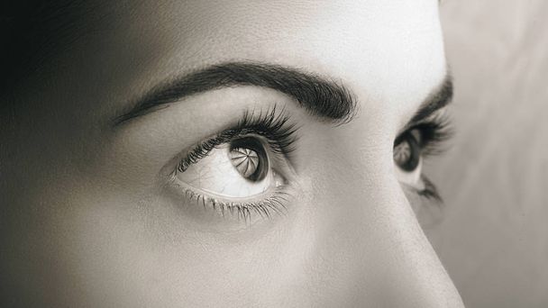 Close-up donkere ogen met natuurlijke make-up kijken naar de zijkant, macro-shot. - Foto, afbeelding