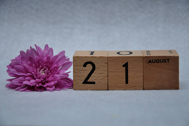 21 de agosto em blocos de madeira com uma margarida rosa em um fundo branco
 - Foto, Imagem