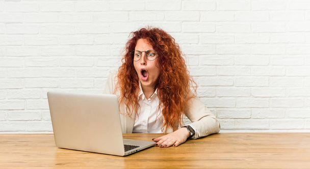 Jeune rousse bouclée femme travaillant avec son ordinateur portable étant choqué à cause de quelque chose qu'elle a vu
. - Photo, image