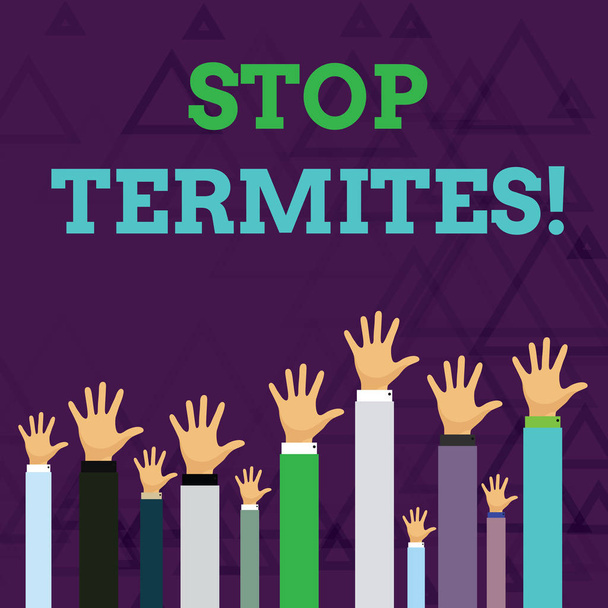 Text sign showing Stop Termites. Conceptual photo prevent a small tropical insect from damaging the woods Hands of Several Businessmen Raising Up Above the Head, Palm Facing Front. - Photo, Image