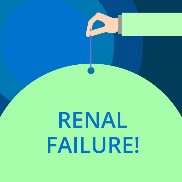 Word writing text Renal Failure. Business concept for medical condition in which the kidneys no longer function. - Photo, Image