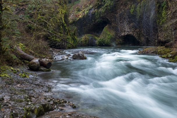 Um rio que flui rapidamente em um teste no desfiladeiro do rio Columbia, Oregon, EUA, em uma longa exposição para suavizar a água
 - Foto, Imagem