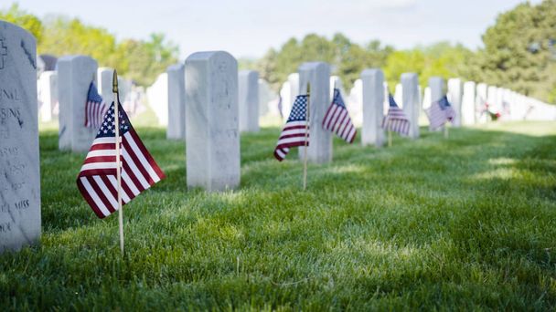 Cemitério Nacional dos Estados Unidos
 - Foto, Imagem