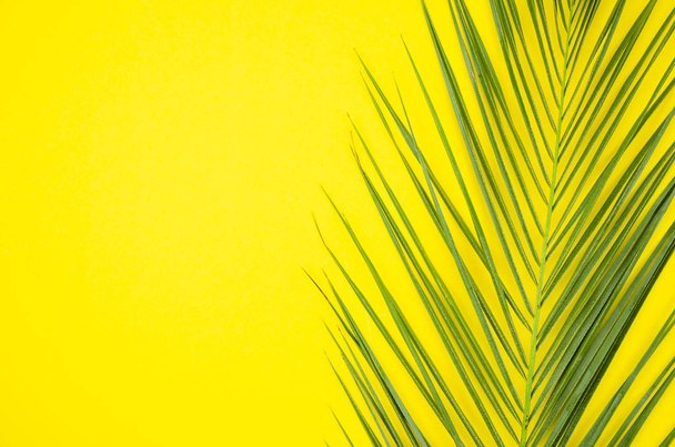 Tropikalnych liści palmowych makieta na pastelowe żółte tło. Koncepcja minimalnego lata. Płaska rama lay z przestrzenią kopiowania. - Zdjęcie, obraz