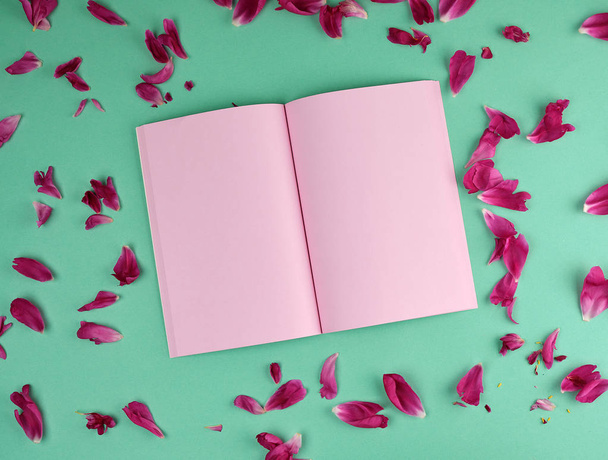 cuaderno abierto con páginas en blanco rosa
  - Foto, Imagen