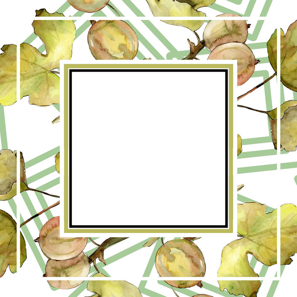 Gooseberry berry healthy food isolated. Watercolor background illustration set. Frame border ornament square. - Photo, image