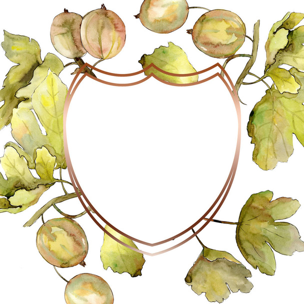 Gooseberry berry healthy food isolated. Watercolor background illustration set. Frame border ornament square. - Foto, Imagem
