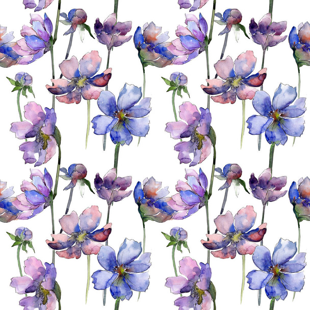 Flor de cosmos violeta flor botánica floral. Conjunto de ilustración de fondo acuarela. Patrón de fondo sin costuras
. - Foto, imagen
