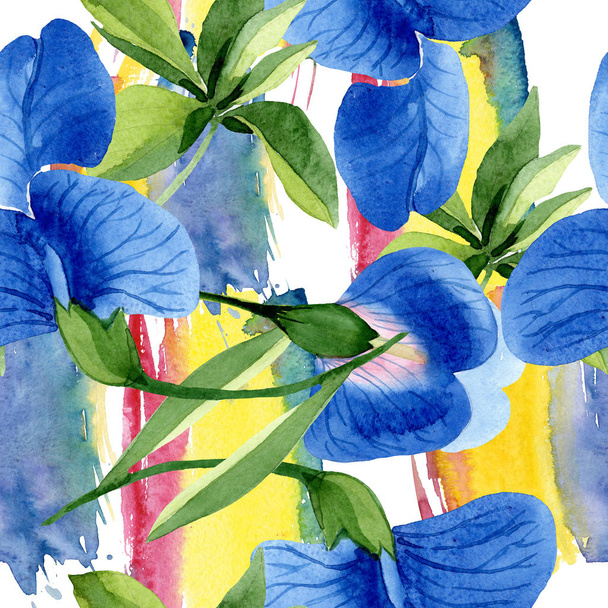 Flores botánicas florales de guisante dulce azul. Conjunto de ilustración de fondo acuarela. Patrón de fondo sin costuras
. - Foto, Imagen