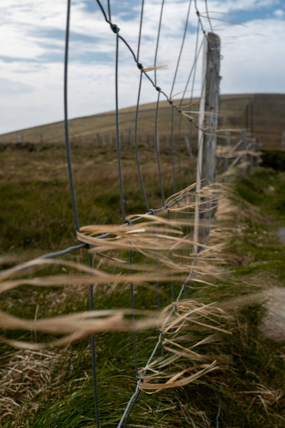 Strengen van droog gras en stro gevangen op een draad hek waait in sterke winden, waardoor de strengen van gras wazig - Foto, afbeelding