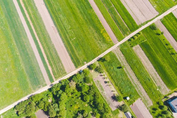 aerial view of farming fields - Photo, Image