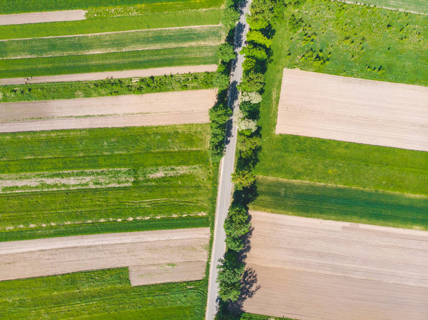 Vista aérea de los campos de cultivo
 - Foto, imagen