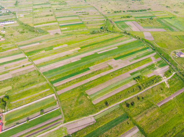 воздушный вид сельскохозяйственных полей
 - Фото, изображение