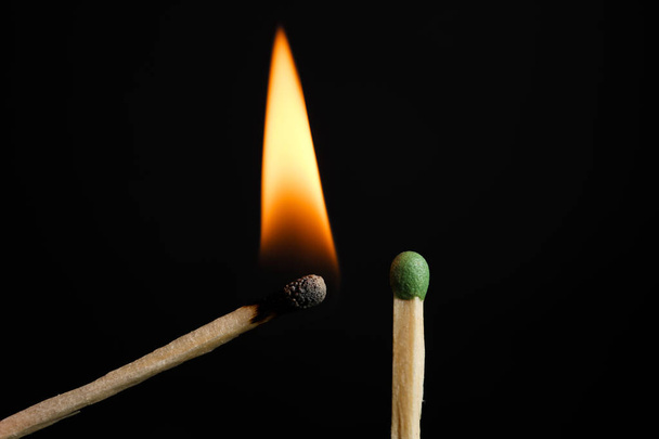 Lit and whole matches on black background, closeup - Foto, immagini