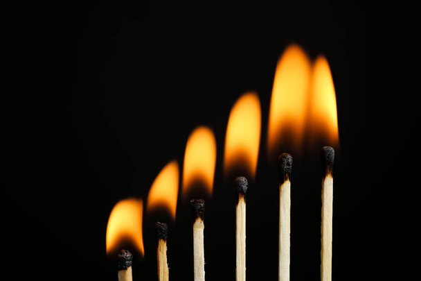 Line of burning matches on black background, closeup. Space for text - Zdjęcie, obraz