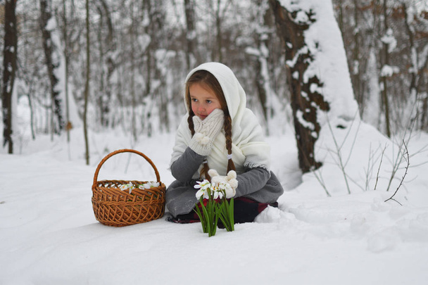 το κοριτσάκι με τα σάλια και τα γάντια μαζεύει χιονοσταγόνες στα χιόνια. - Φωτογραφία, εικόνα