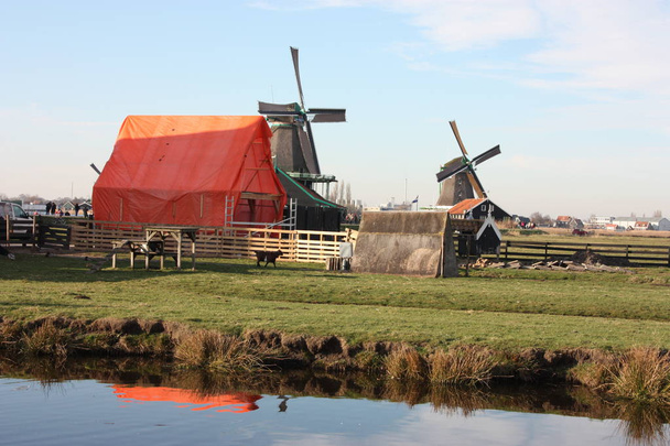 Frühlingsausflug nach zaanse schans. Ruhige Kanäle, ruhige Flüsse fließen zwischen den Hügeln. die holländischen Windmühlen stehen nach Jahrhunderten als traditionelles touristisches Wahrzeichen - Foto, Bild