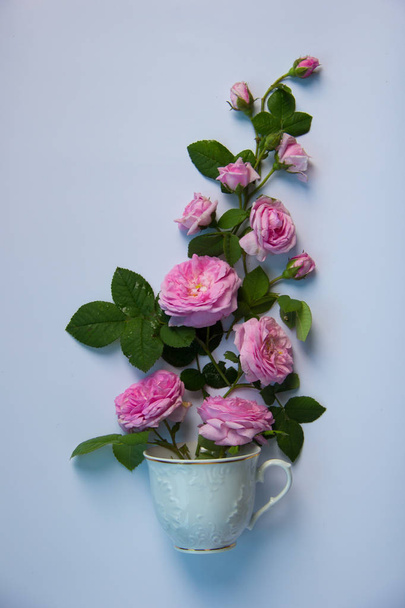 A beautiful bouquet of tea pink roses stands in a white cup with a gold edging on a white background. - Fotografie, Obrázek