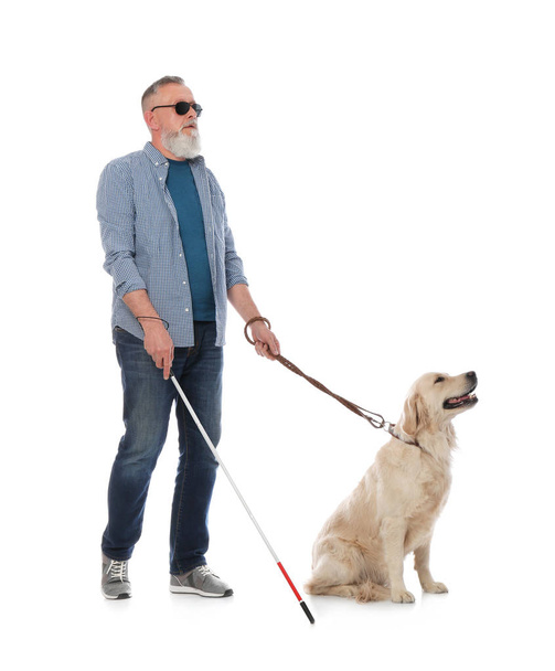 Blind person with long cane and guide dog on white background - Фото, зображення