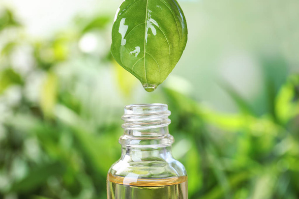 Essential oil dripping from basil leaf into glass bottle on blurred background, closeup - Fotó, kép