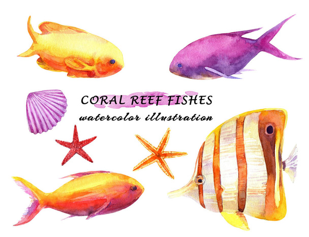 Conjunto de acuarelas de coloridos peces de arrecife, estrellas de mar y moluscos. Ilustración dibujada a mano aislada sobre fondo blanco
. - Foto, imagen