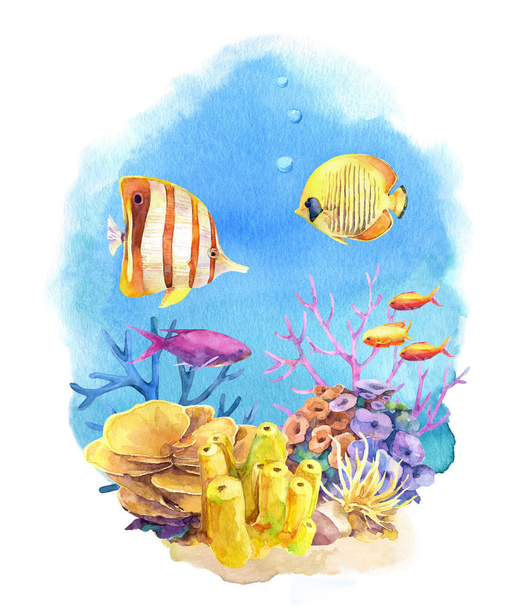 Underwater composition with coral reefs and tropical fish. Hand painted in watercolor. - Photo, Image
