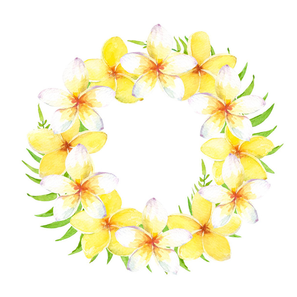 Υδατογραφία τροπικό στεφάνι με λευκά και κίτρινα λουλούδια. Μπορεί να χρησιμοποιηθεί για κάρτες, γαμήλια πρόσκληση, να αποθηκεύσετε την ημερομηνία, χαιρετισμό σχέδιο ή υφάσματα. Απομονωμένη σε λευκό φόντο. - Φωτογραφία, εικόνα