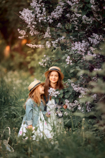 Little sisters outdoor portrait near lilac tree - Foto, Bild