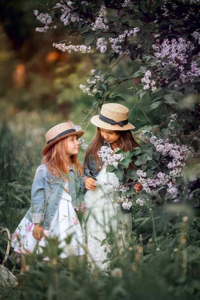Little sisters outdoor portrait near lilac tree - Fotó, kép