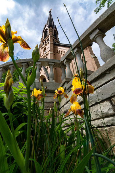Blooming flowers and church - Photo, Image
