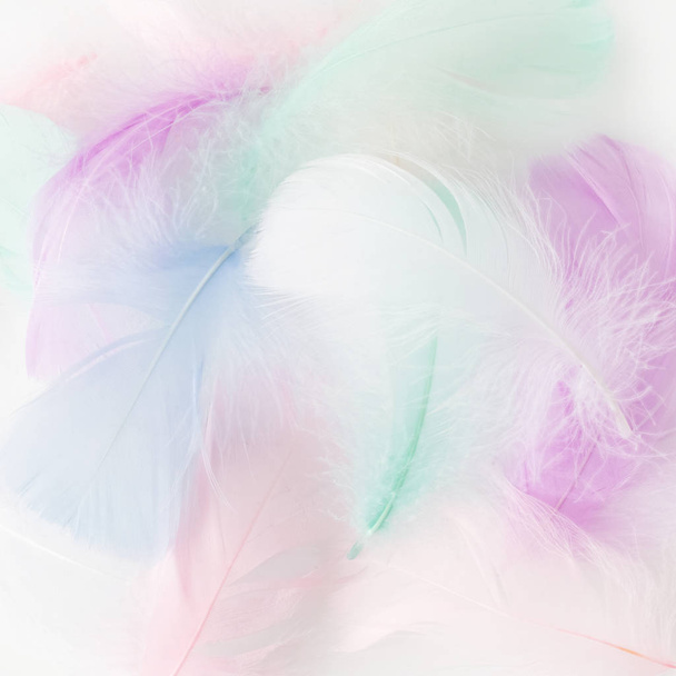 Abstract feather rainbow patchwork background. Closeup image. Fashion Color Trends. - Foto, Bild
